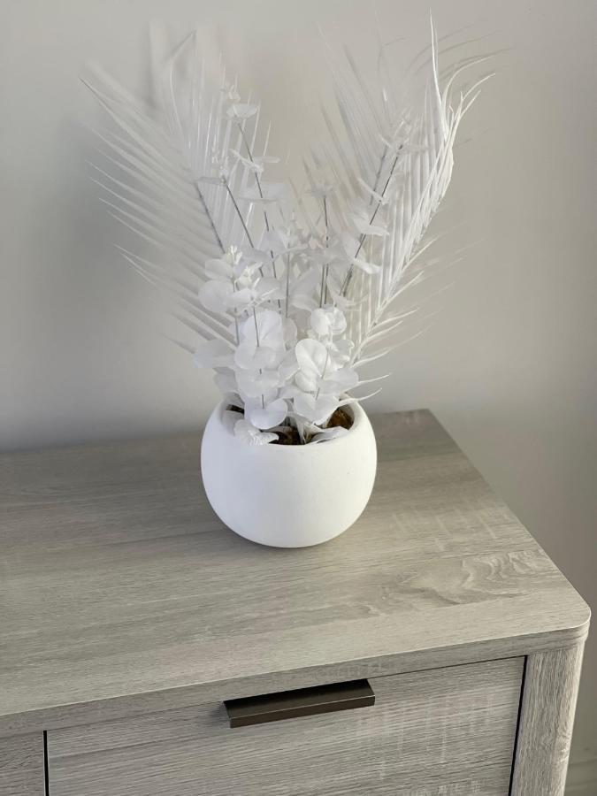 Edith Haven Tynemouth Fabulous Coastal Holiday Home With Free Onstreet Parking Exteriör bild